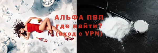 индика Аркадак