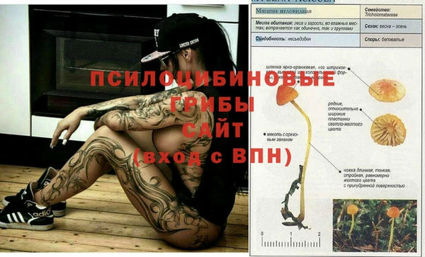 mix Армянск