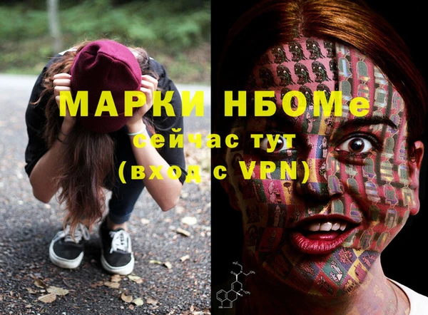 индика Аркадак