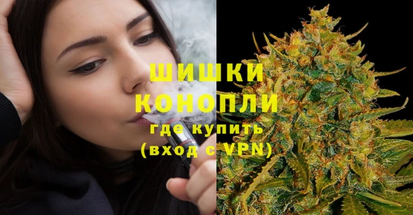 индика Аркадак