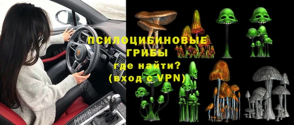 индика Аркадак